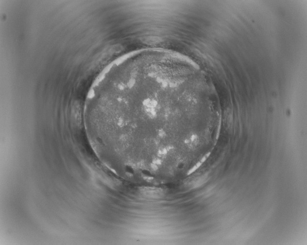 X0000088590234200706151744