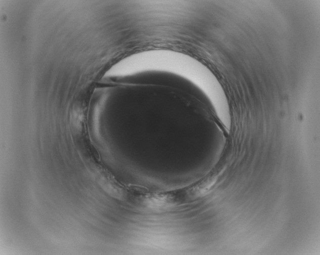 X0000088590235200706151744