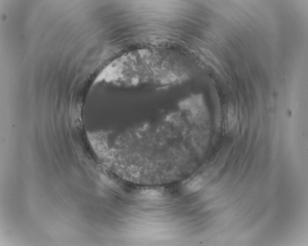 X0000088590236200706151744