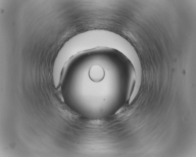 X0000088590237200706151744