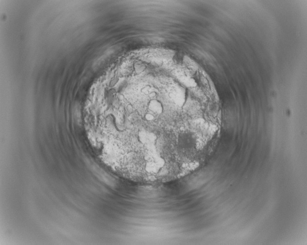 X0000088590238200706151744