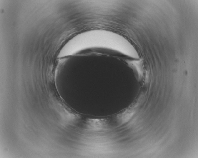 X0000088590239200706151744