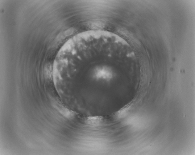 X0000088590240200706151744