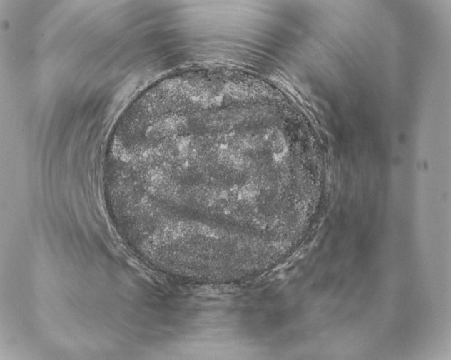 X0000088590241200706151743