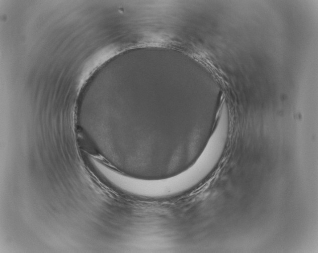 X0000088590244200706151743