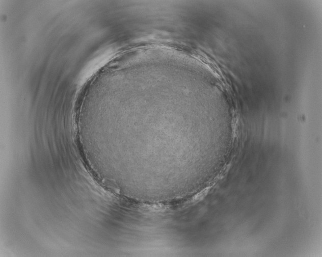 X0000088590245200706151743