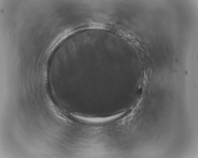 X0000088590247200706151743