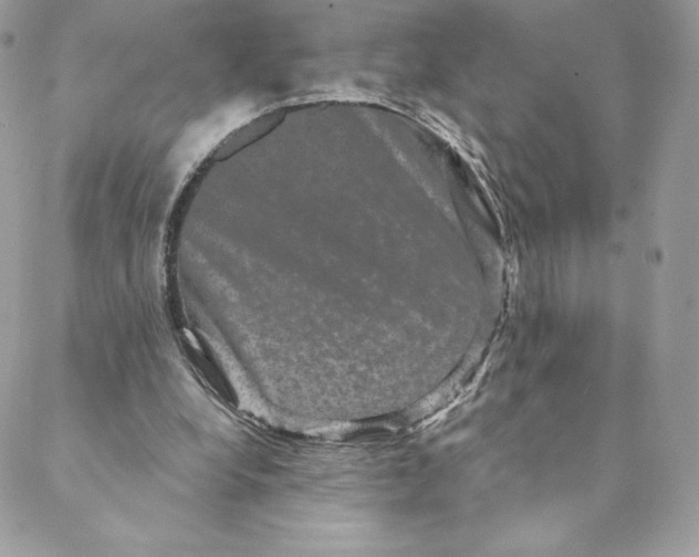 X0000088590248200706151743