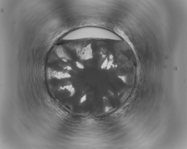 X0000088590249200706151743