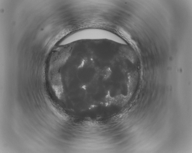 X0000088590250200706151743