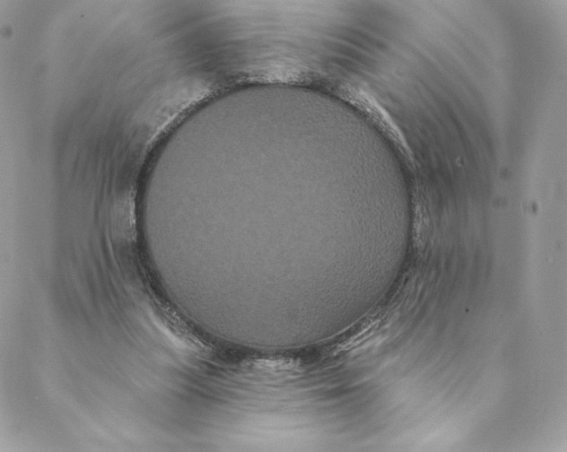 X0000088590251200706151743