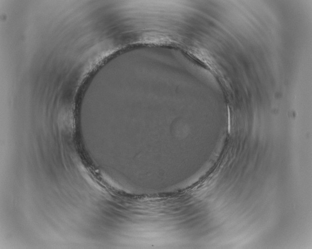 X0000088590252200706151743