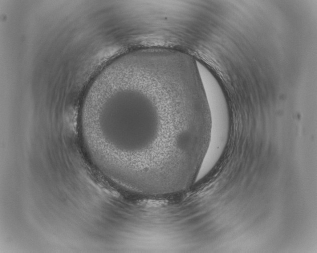 X0000088590255200706151743