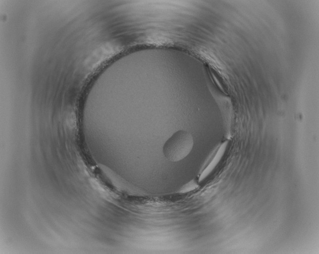 X0000088590256200706151743