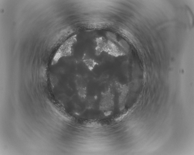 X0000088590258200706151743