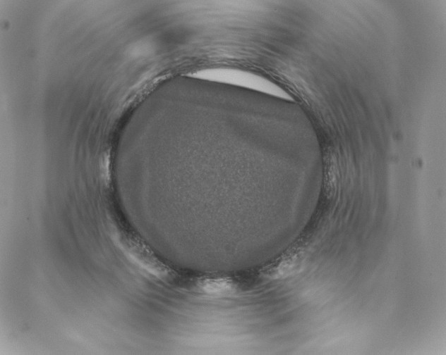 X0000088590262200706151744