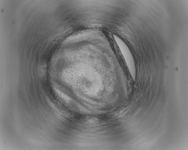 X0000088590263200706151744