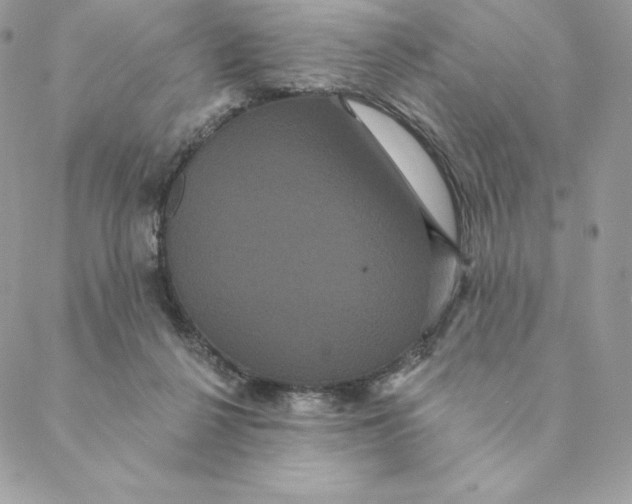 X0000088590264200706151744