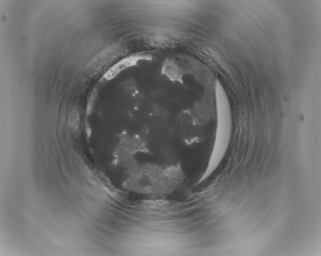 X0000088590266200706151744