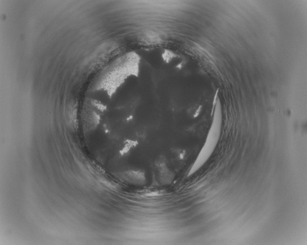 X0000088590267200706151744