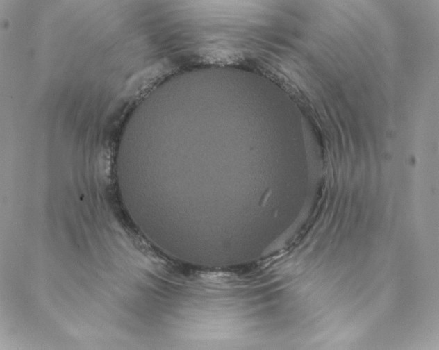 X0000088590268200706151744