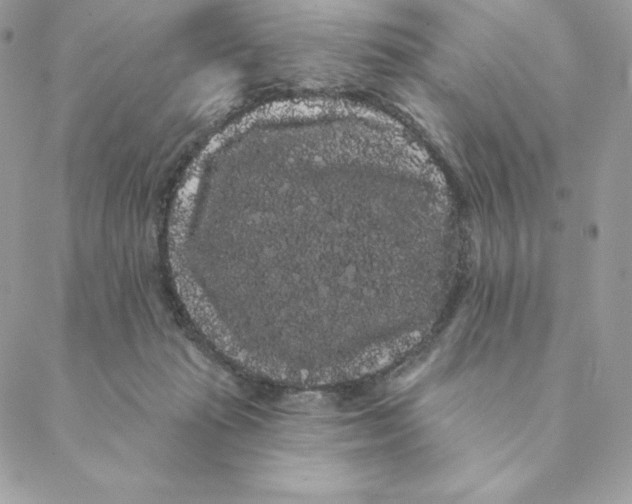 X0000088590269200706151744