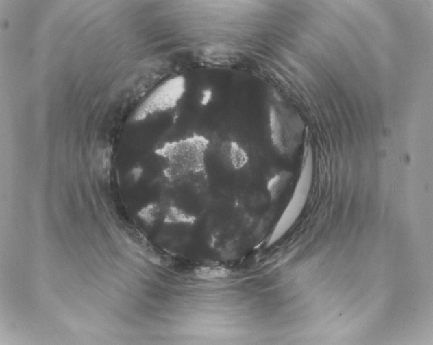 X0000088590271200706151744