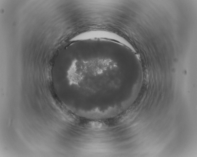 X0000088590272200706151744