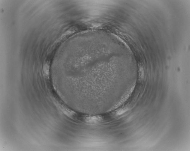 X0000088590274200706151744