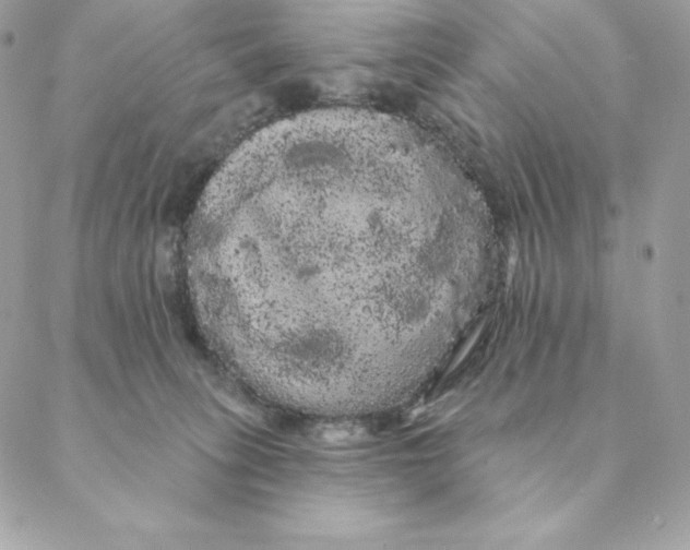 X0000088590275200706151744