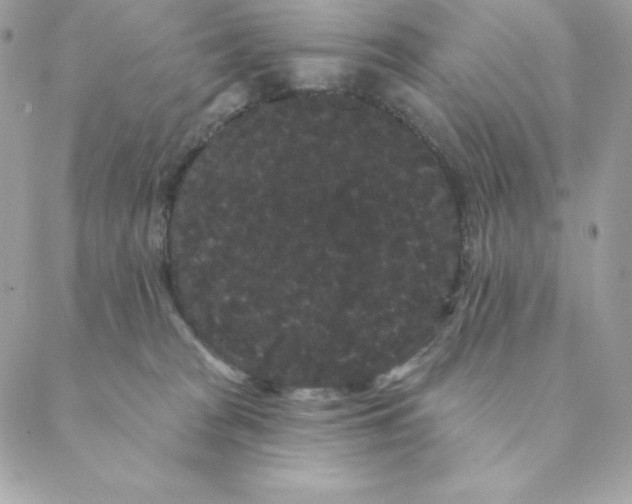 X0000088590277200706151744