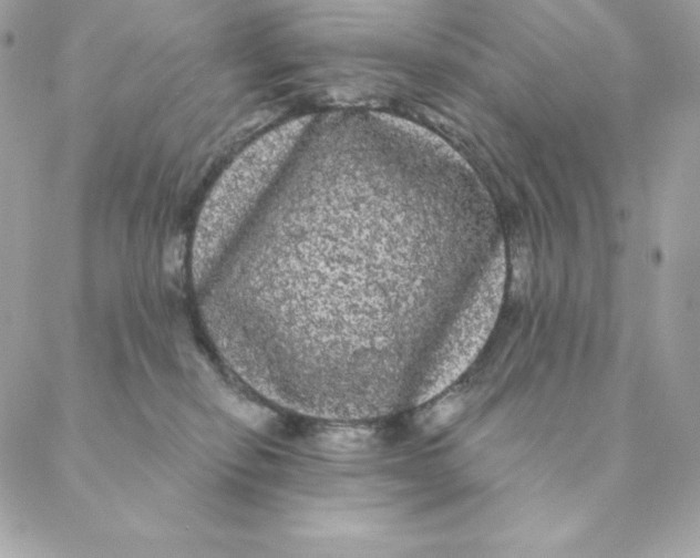 X0000088590278200706151744