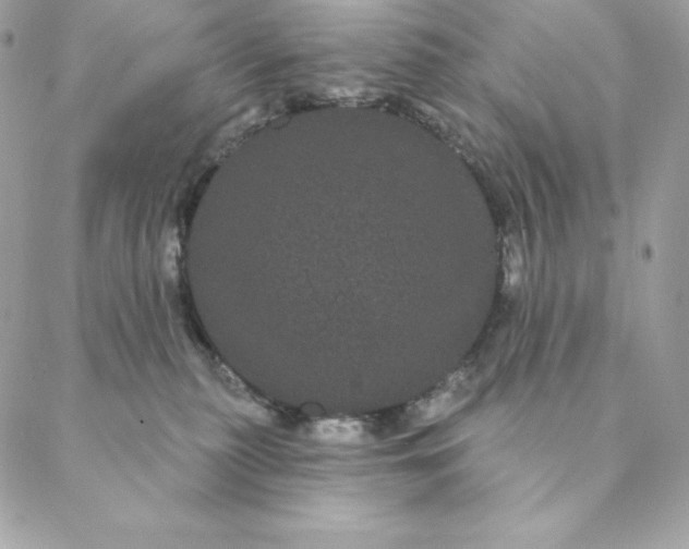 X0000088590279200706151744