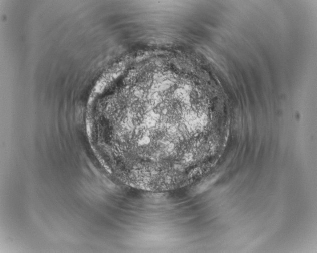 X0000088590281200706151744