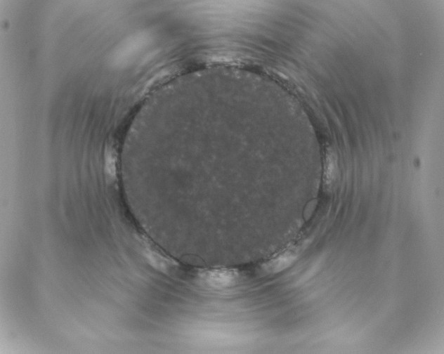 X0000088590282200706151744