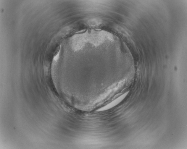 X0000088590283200706151744