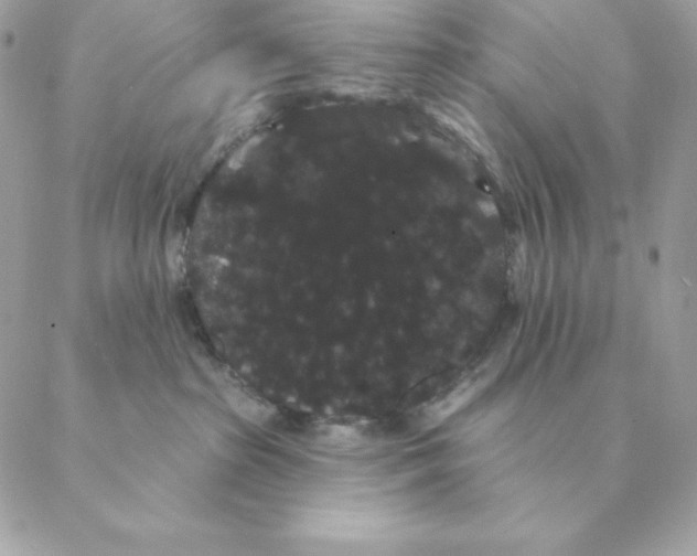 X0000088590285200706151744