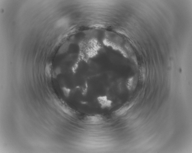 X0000088590286200706151744