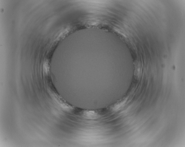 X0000088590287200706151744