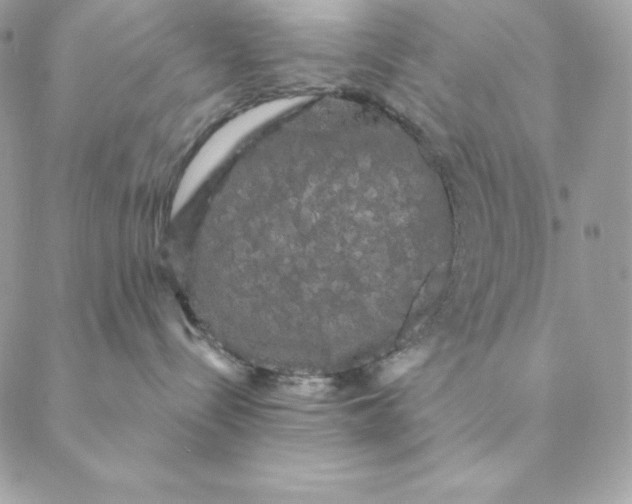 X0000088590288200706151744