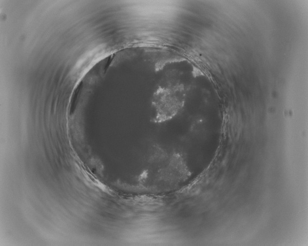 X0000088590290200706151743