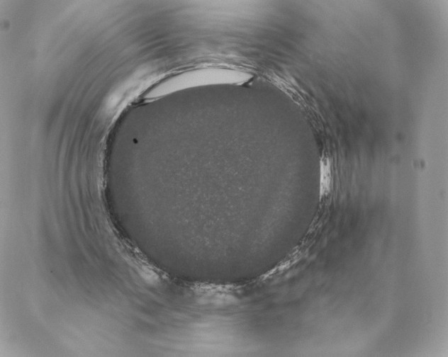 X0000088590291200706151743