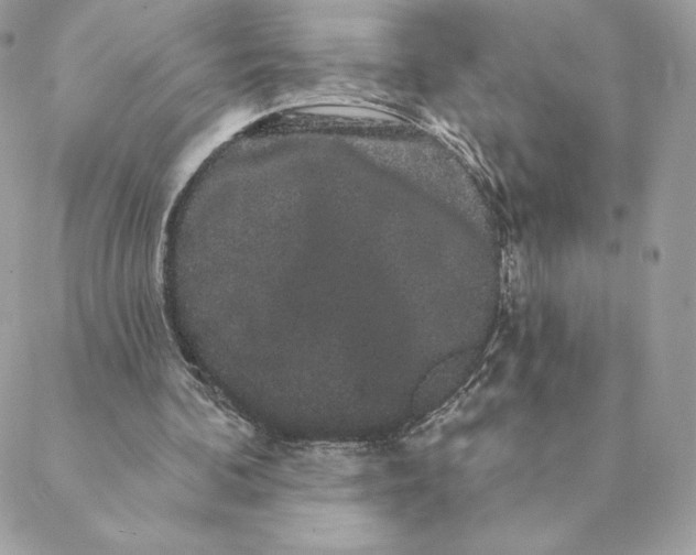 X0000088590292200706151743