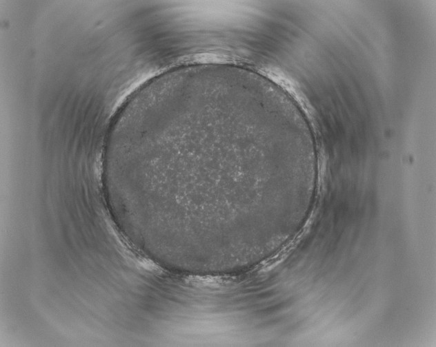 X0000088590297200706151743