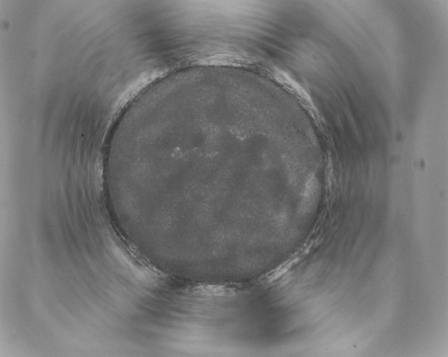 X0000088590298200706151743