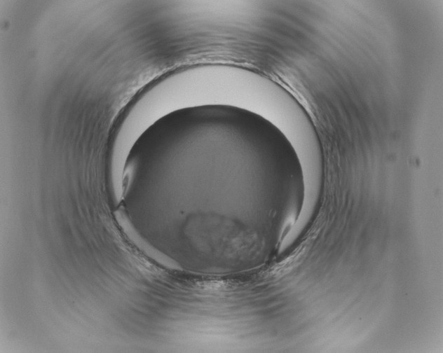 X0000088590301200706151743