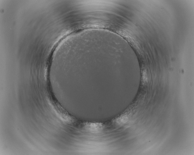 X0000088590304200706151743