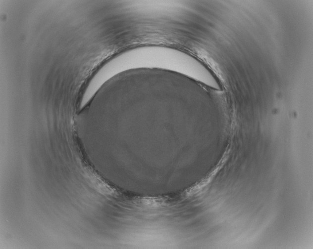 X0000088590305200706151743