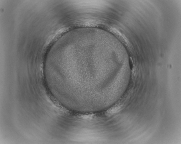 X0000088590306200706151743