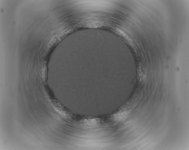 X0000088590307200706151743